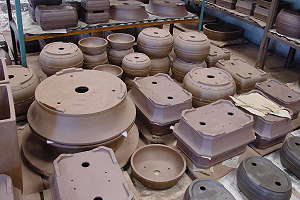 Production de pots à bonsaï faits à la main - Salle de séchage avec pots à bonsaï