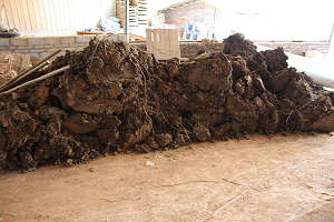 Producción de la arcilla para maceta de bonsái - Material de partida del pozo de arcilla