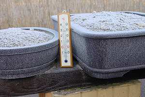 Handmade bonsai pots in frost test