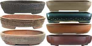 Coarsely structured bonsai pots versus pots with a smooth surface