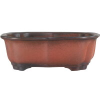 Bonsai pot 20.5x15x7cm dark-brown other shape unglaced