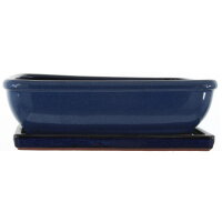 Bonsai pot with drip tray 31x25.5x9.5cm blue rectangular...