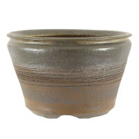 Vaso bonsai 12,5x12,5x8cm marrone scuro rotondo in...