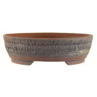 Vaso bonsai 20,5x20,5x6cm marrone scuro rotondo in...