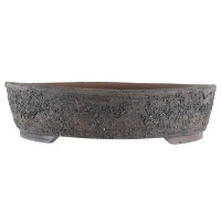 Vaso bonsai 29,5x29,5x7cm marrone scuro rotondo in...